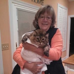 Meet your Posher, Donna